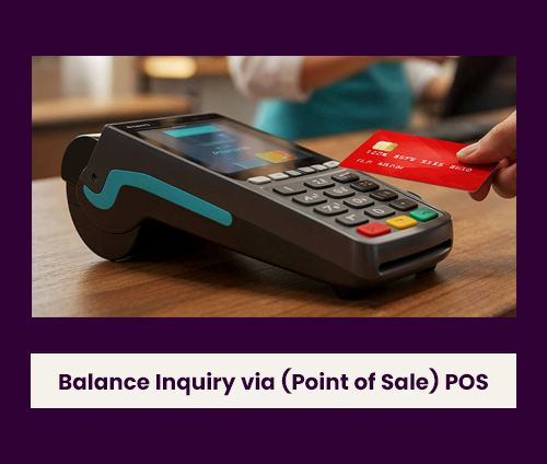 Point of Sale (POS) Balance Inquiry